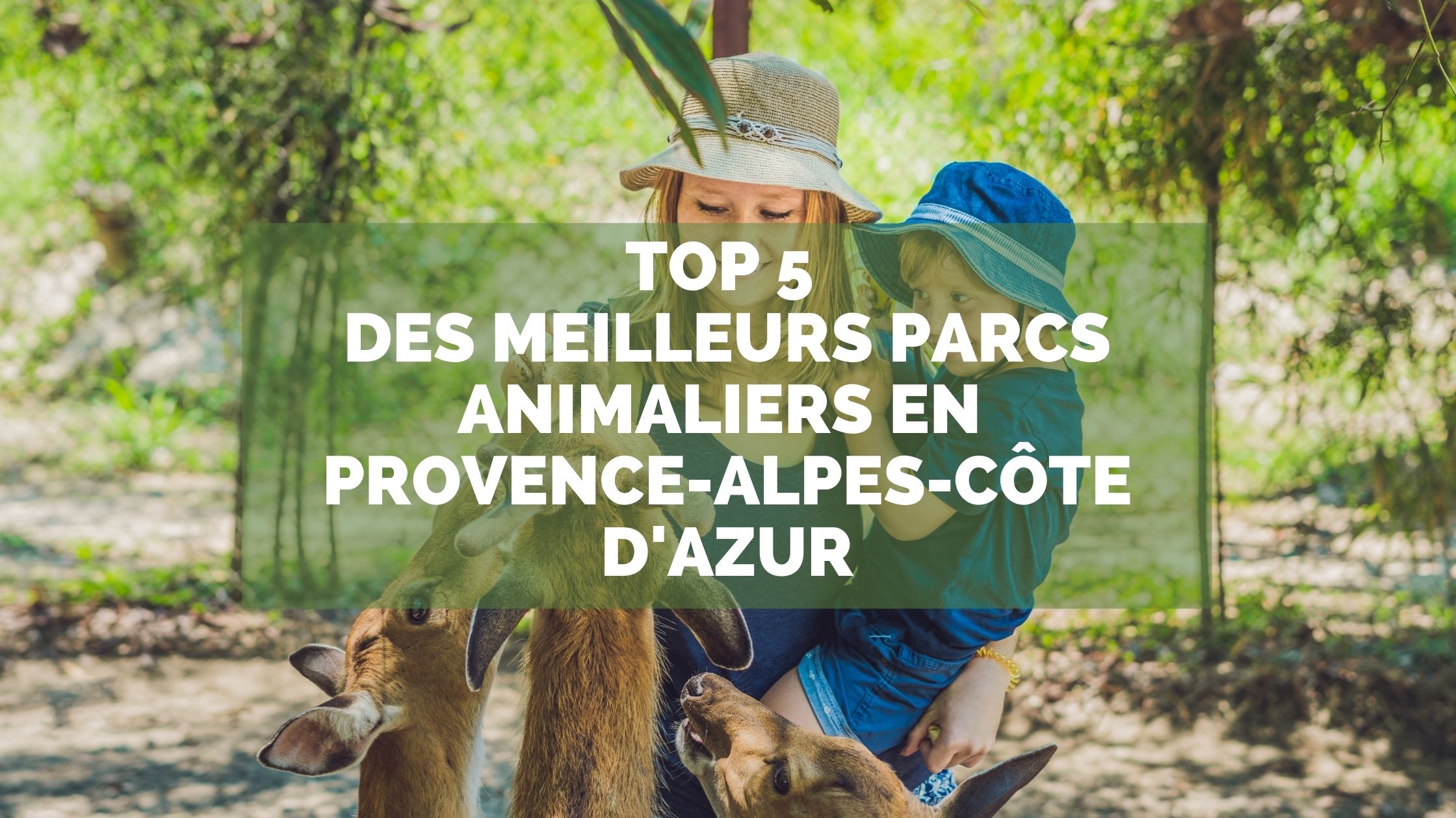 rencontre zoo paca