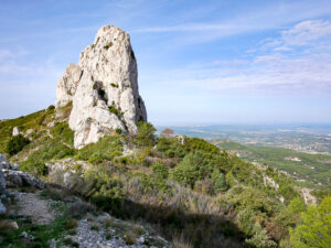 Le pilon du Roy 